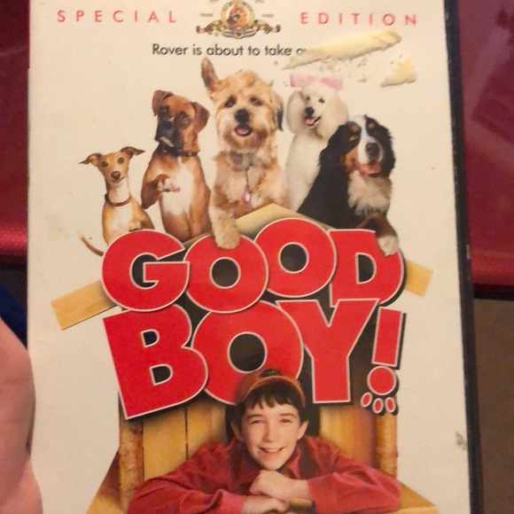 Good Boy! - Picture 1 of 2